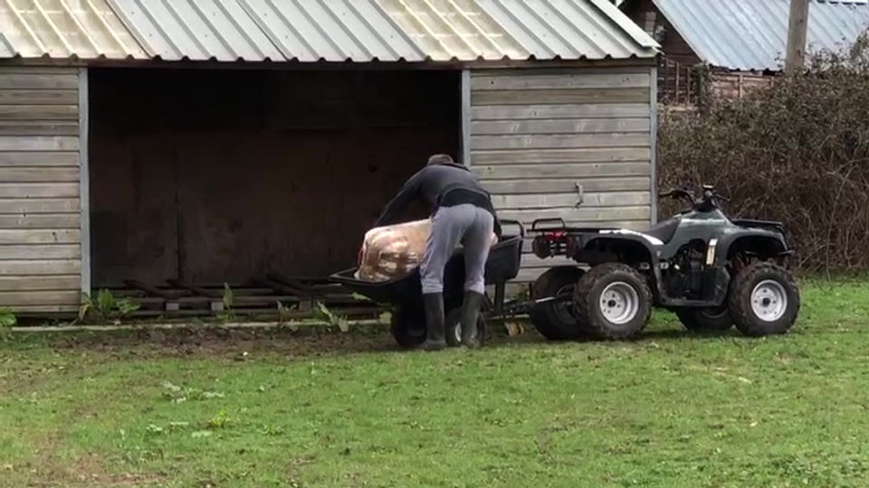 Using quad bike to move shavings